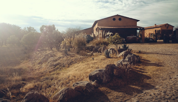 What Southwest Décor is in Style? Get the Look!