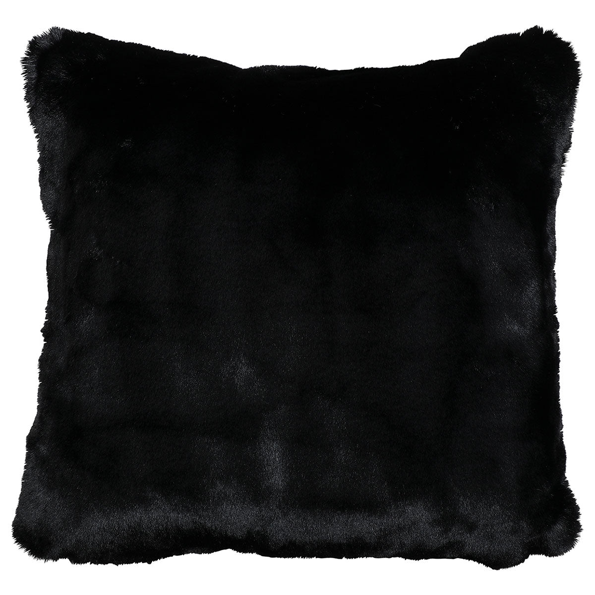 Black Bear Pillows & Throw