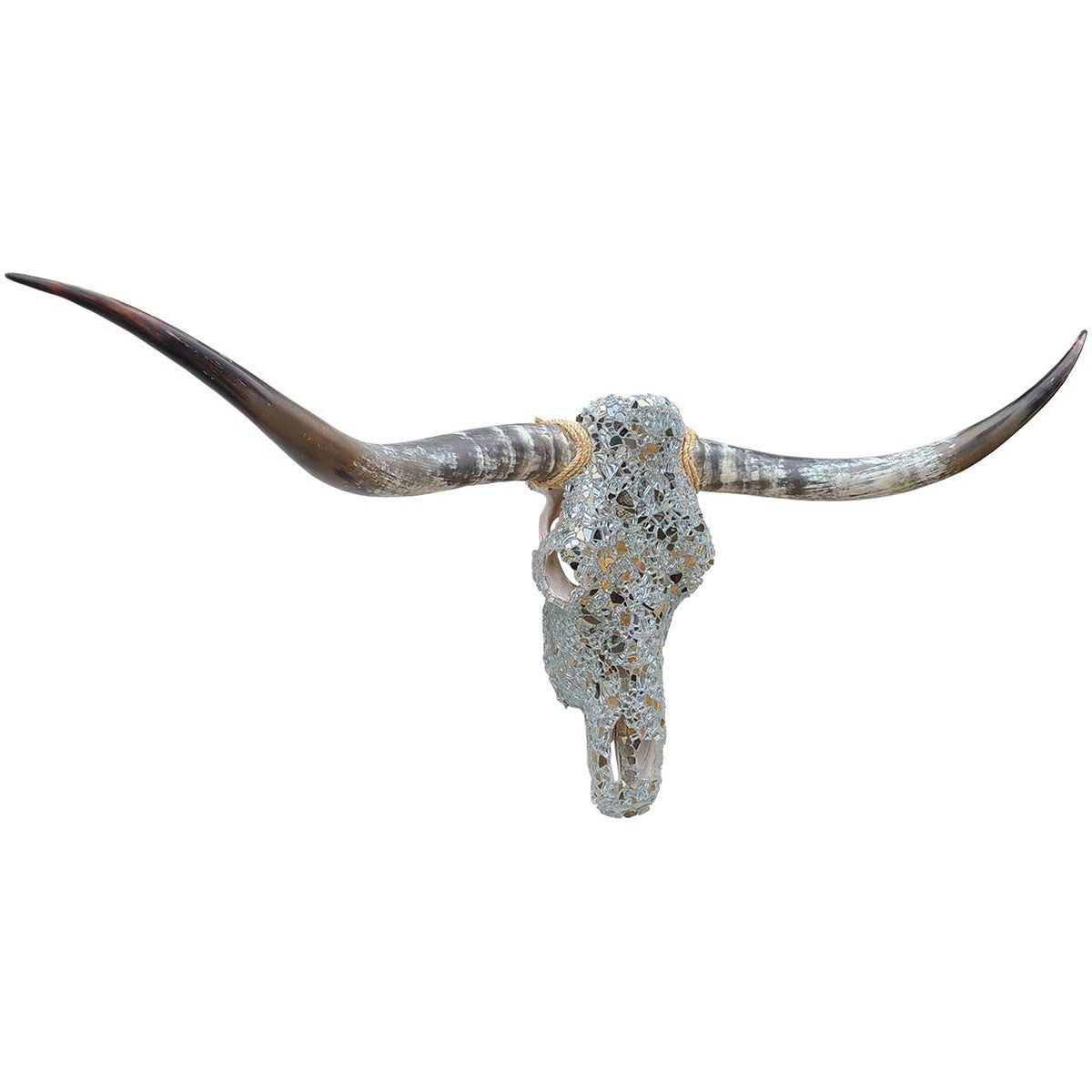 Authentic Longhorn Skull with Platinum Glass