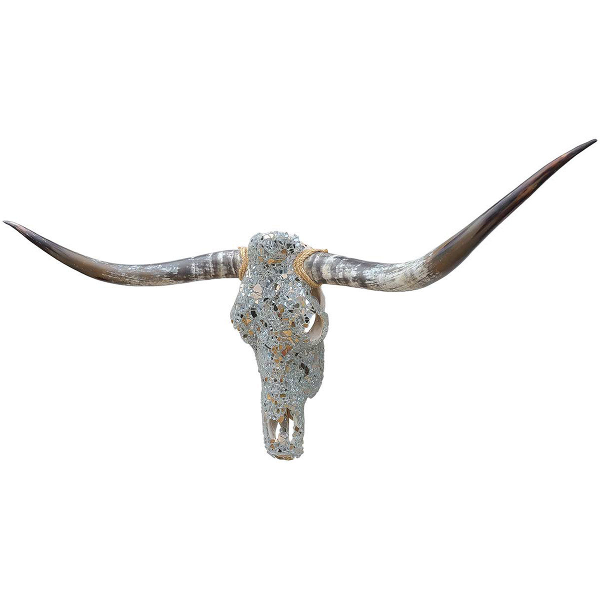 Authentic Longhorn Skull with Platinum Glass