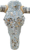 Authentic Longhorn Skull with Platinum Glass