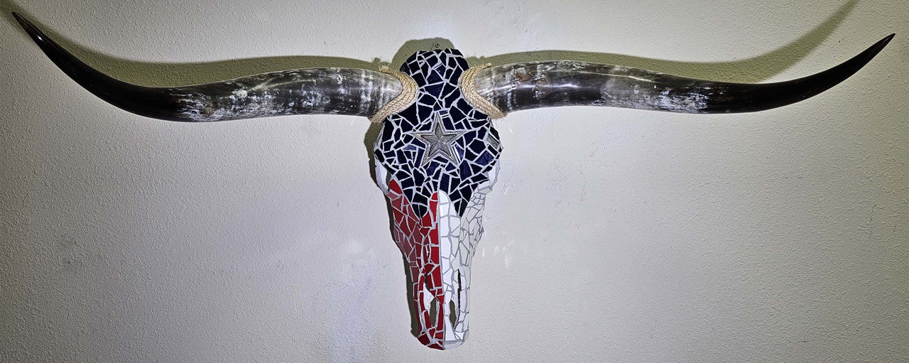Authentic Black Longhorn Skull with Metal Star