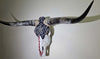 Authentic Black Longhorn Skull with Metal Star
