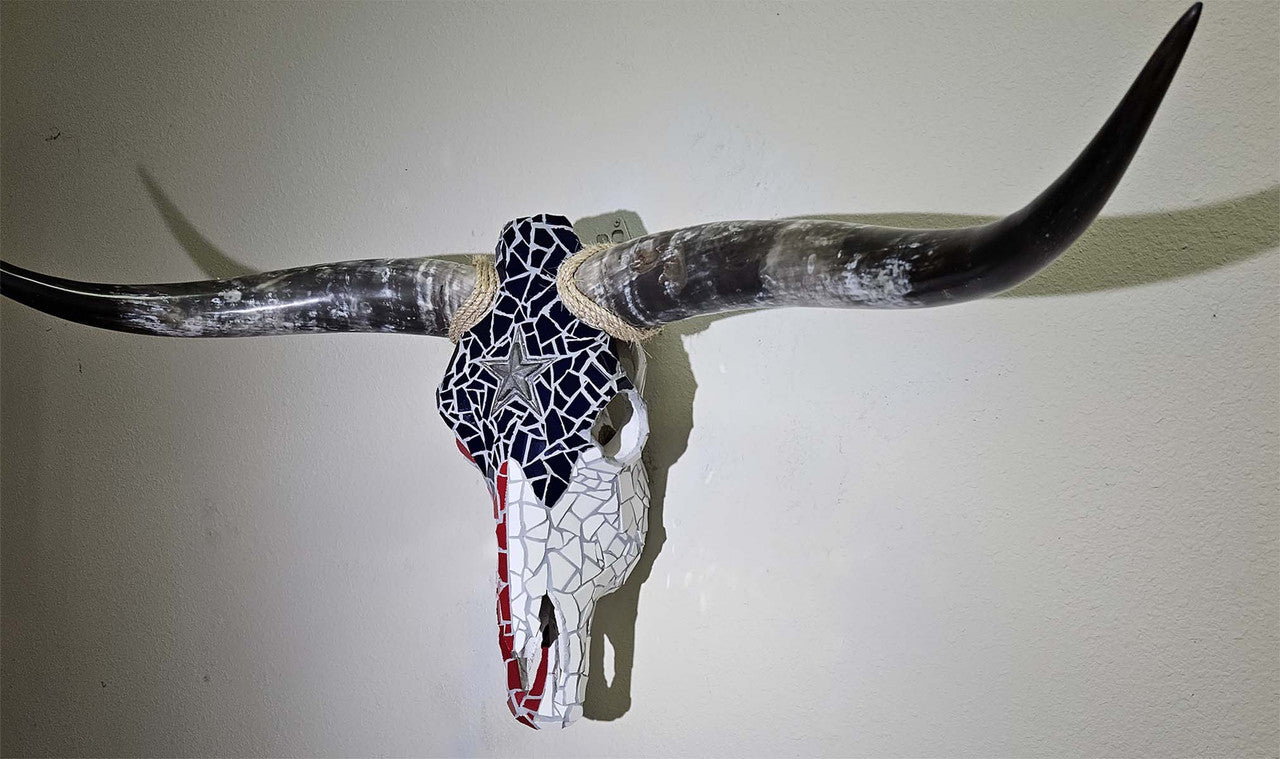 Authentic Black Longhorn Skull with Metal Star