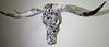Authentic Longhorn Skull with Blue Stone