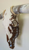 Authentic Longhorn Skull with Cowhide & Copper Glass