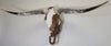 Authentic Longhorn Skull with Brown & White Cowhide & Copper Glass