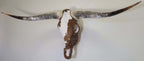Authentic Longhorn Skull with Brown & White Cowhide & Copper Glass
