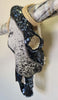 Authentic Longhorn Skull with Cowhide & Black Glass