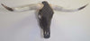 Authentic Longhorn Skull with Louis Vuitton Cowhide & Bronze Glass