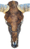Authentic Longhorn Skull with Brindle Cowhide & Bronze Glass