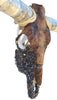 Authentic Longhorn Skull with Brindle Cowhide & Bronze Glass