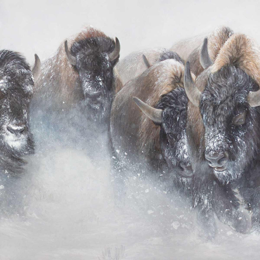 The Thundering Herd Limited Edition Print