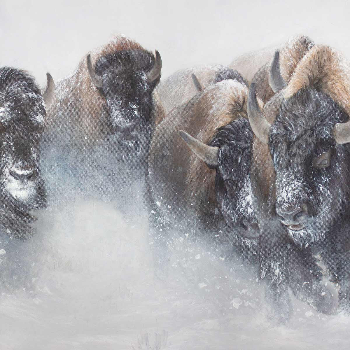 The Thundering Herd Limited Edition Print