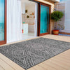 Chandler Black Indoor/Outdoor Rug - 8 x 11 - OUT OF STOCK UNTIL 10/20/2026