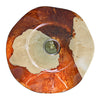 Earthy Hand-Thrown Glass Plate Wall Art - Set of 9