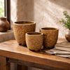 Terra Nativa Pots - Set of 3