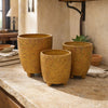 Terra Nativa Chica Pots - Set of 3