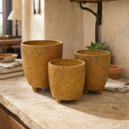 Terra Nativa Chica Pots - Set of 3