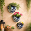 Desert Bloom Wall Planters - Set of 3