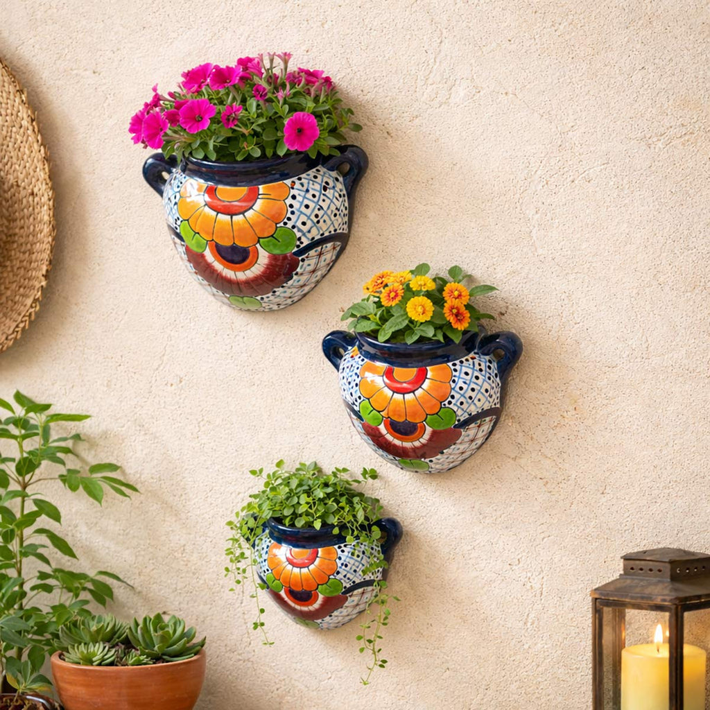 Desert Bloom Wall Planters - Set of 3