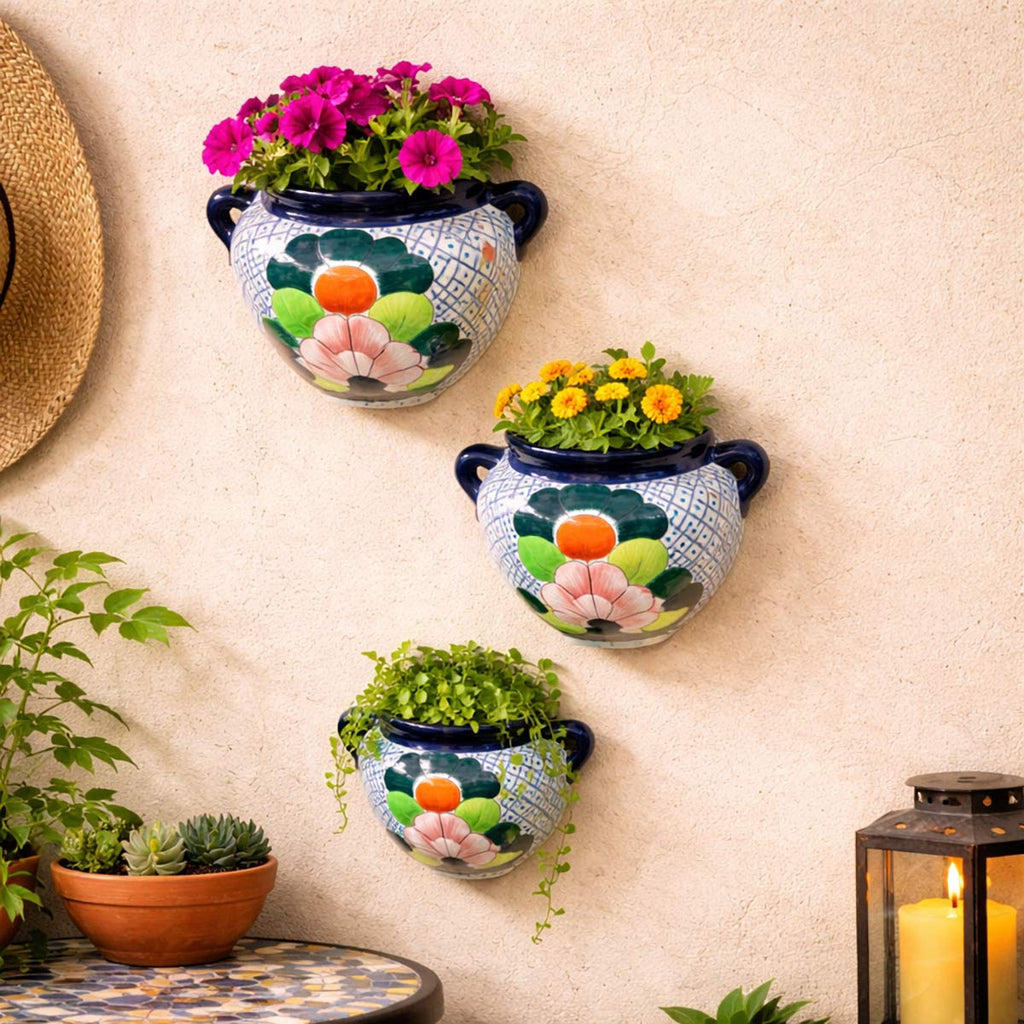 Desert Bloom Wall Planters - Set of 3