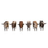 Longhorn Legends Sculptures - Set of 6