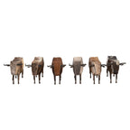 Longhorn Legends Sculptures - Set of 6