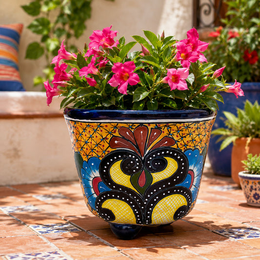 Yellow Footed Planter