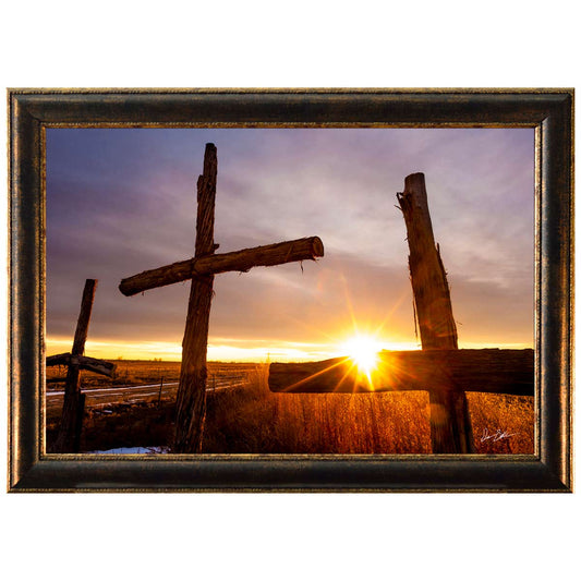 Morning Harvest Framed Canvas