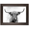 Thirsty Framed Canvas