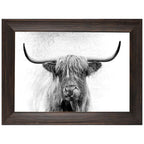 Thirsty Framed Canvas