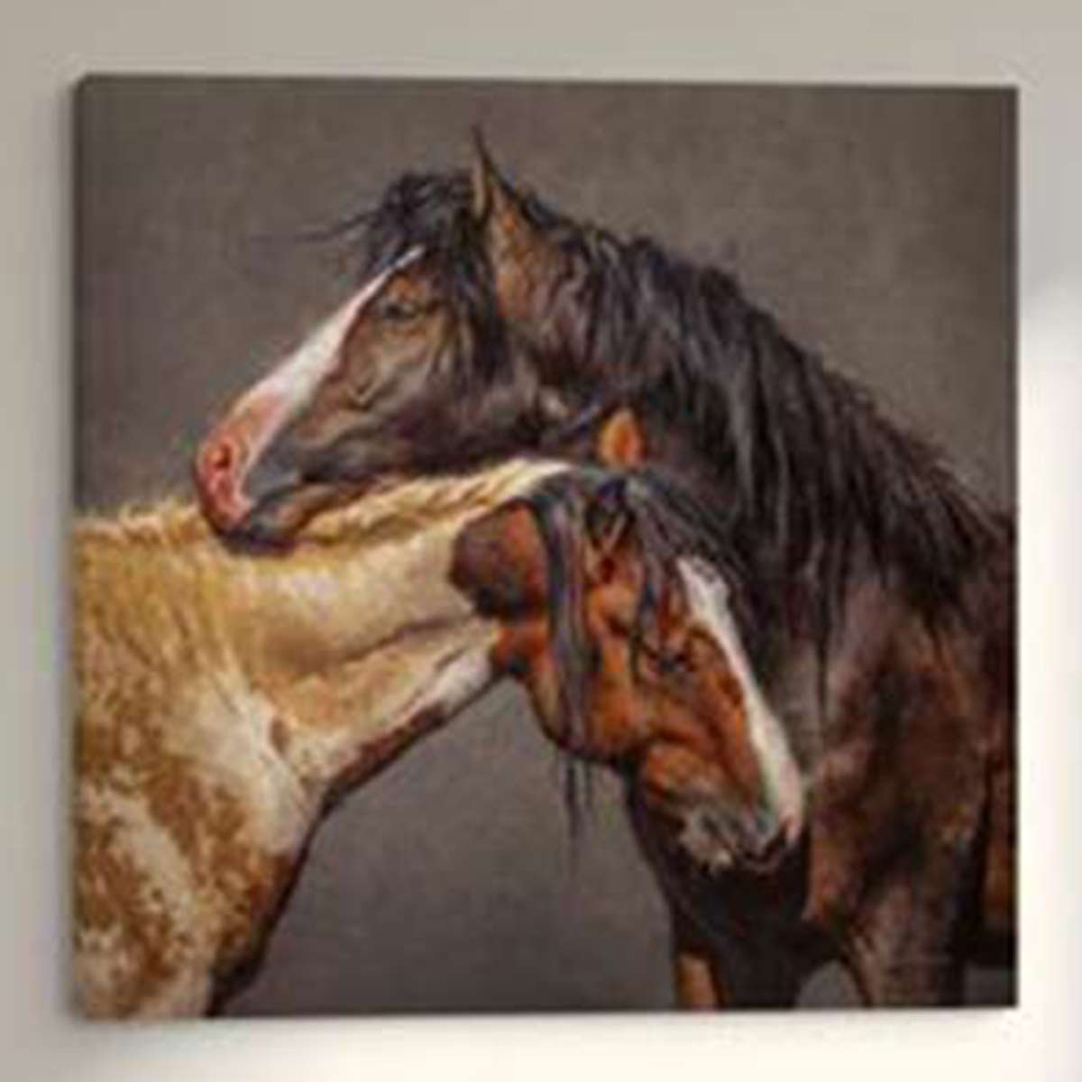 Affection Stretched Canvas