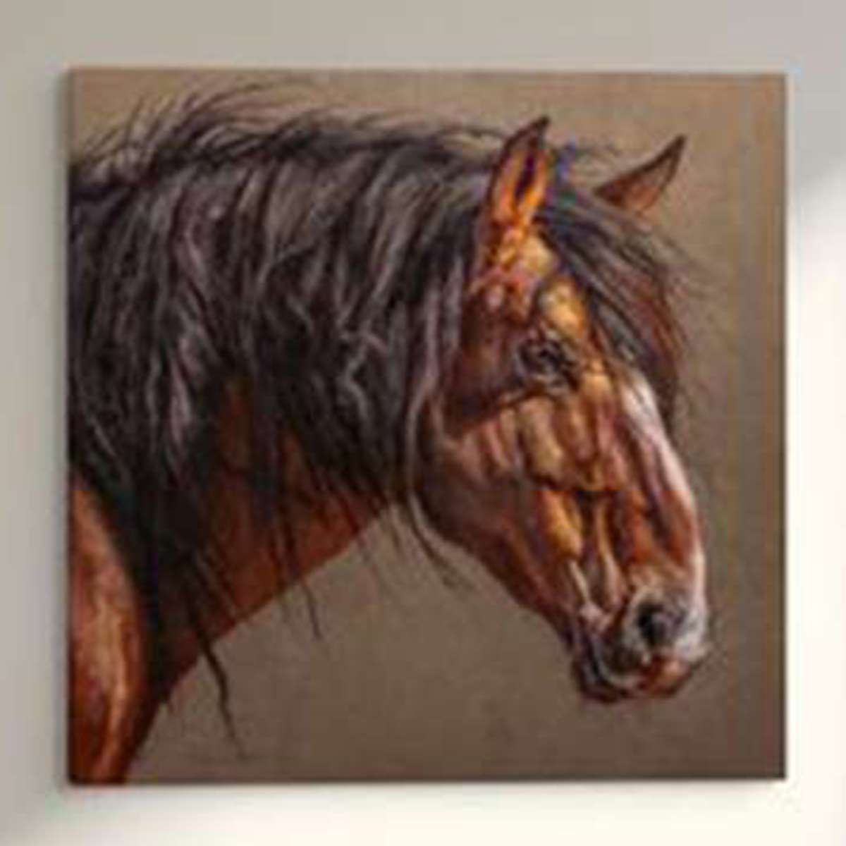 Expression Stretched Canvas
