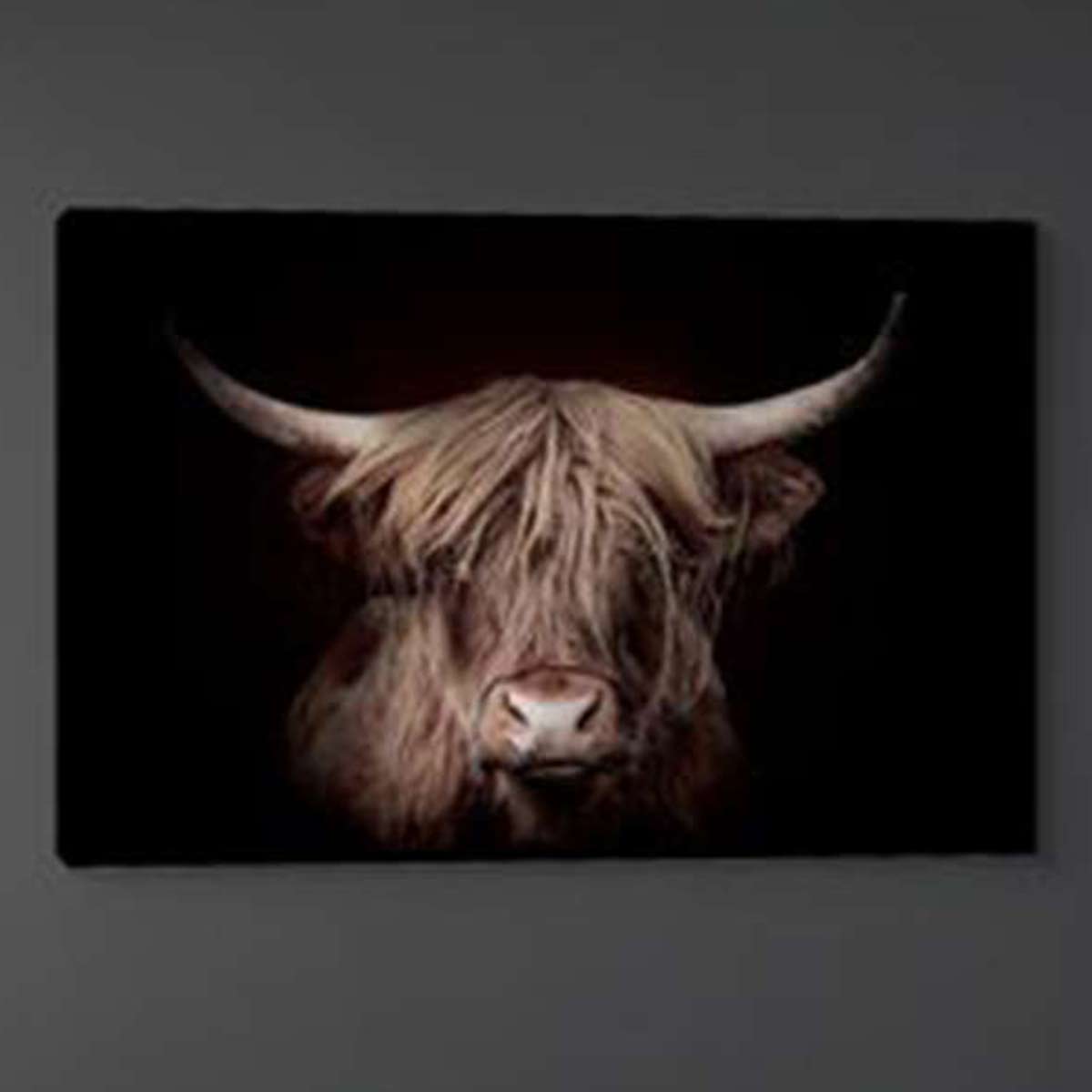 Highland Gold Stretched Canvas