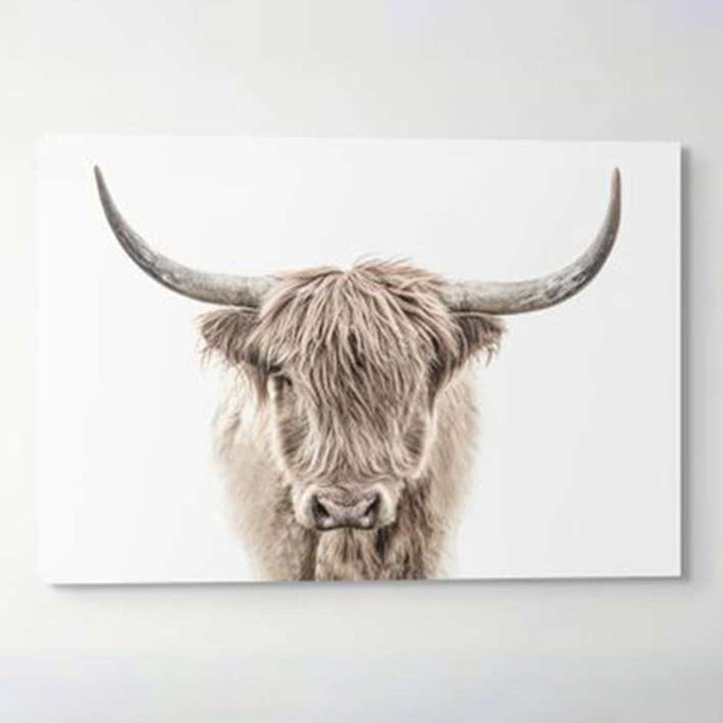 Shaggy Stretched Canvas