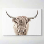 Shaggy Stretched Canvas