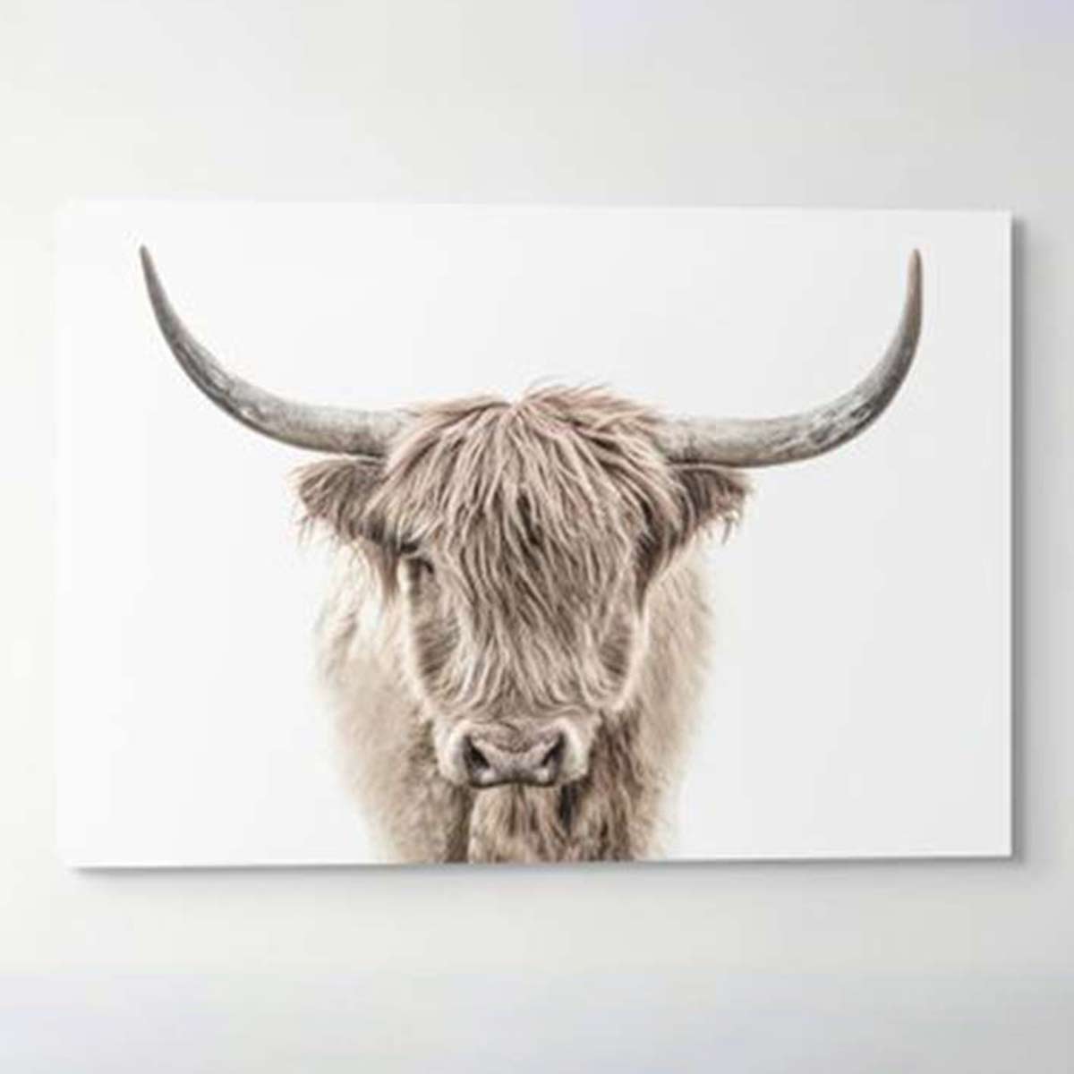 Shaggy Stretched Canvas