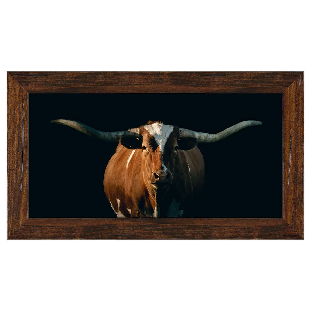 Captain Framed Canvas
