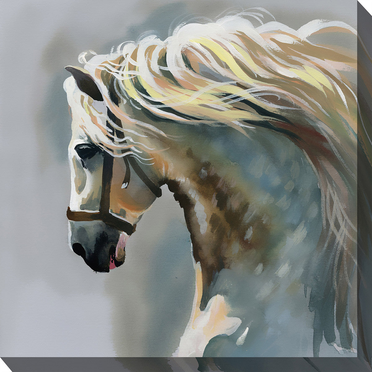 Mustang Freedom Canvas Wall Art