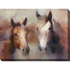 Equestrian Beauty Outdoor Wall Art