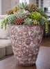 Agave Dream Planter