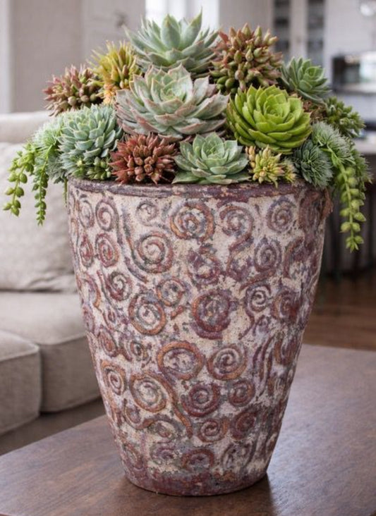 Agave Dream Planter
