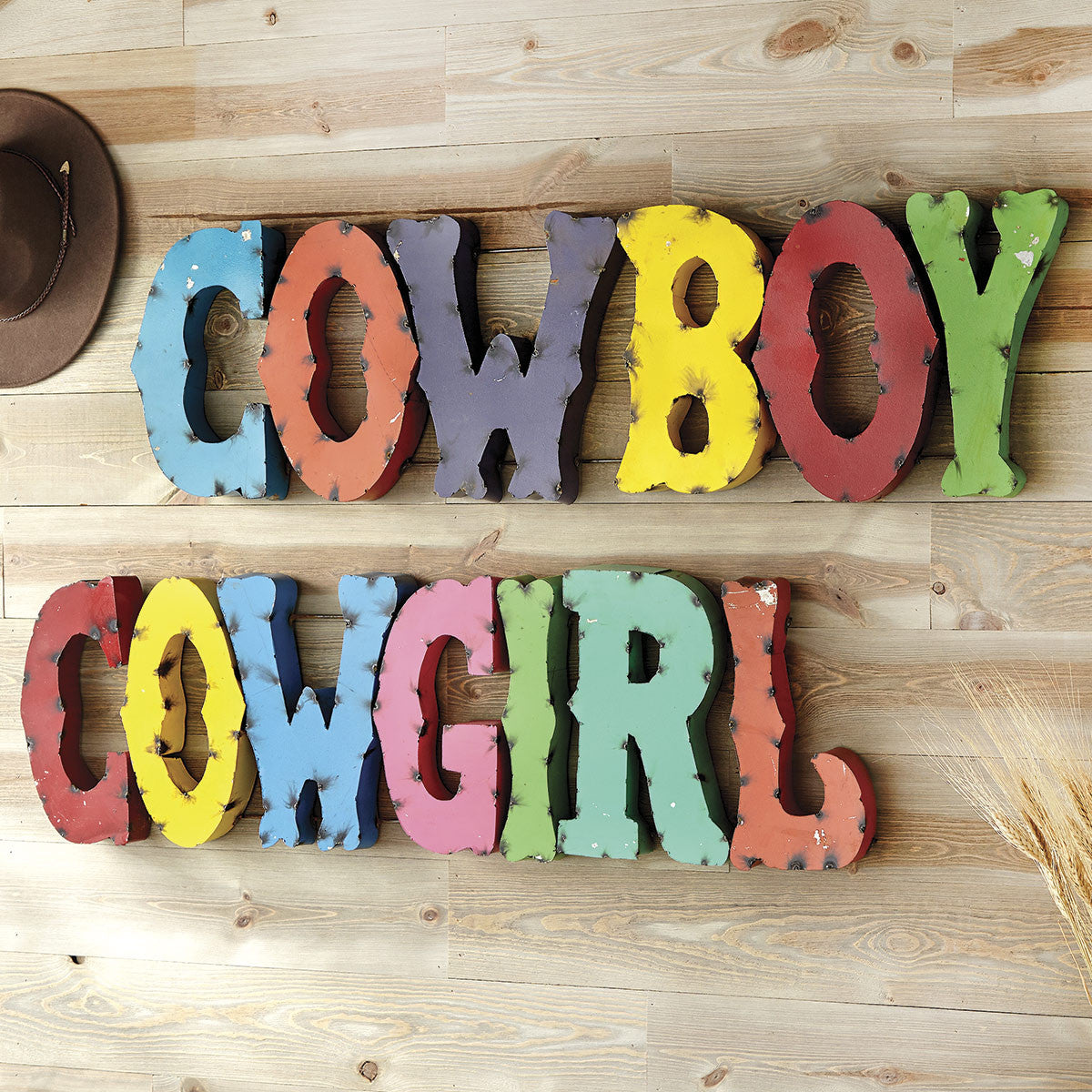 Cowgirl Colorful Metal Art Sign
