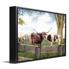 Longhorn Love Personalized Framed Canvas - Small