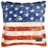 Land of the Free Pillow - OUT OF STOCK