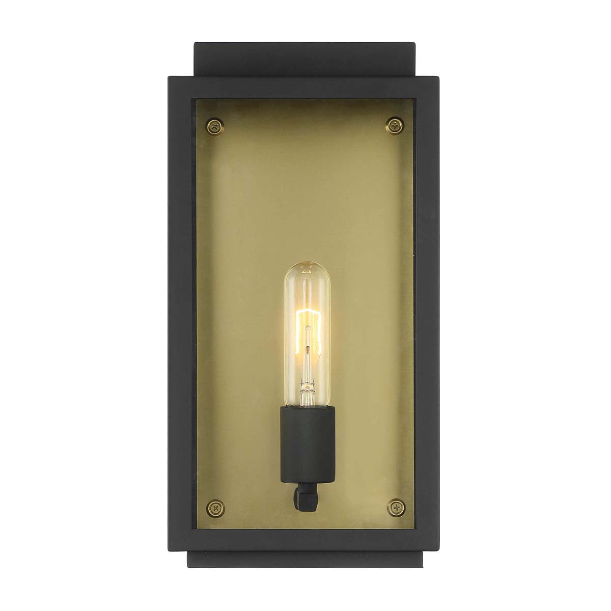 Lyra Indoor/Outdoor Wall Sconce - Small