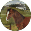 Horse Farm Salad Plates - Set of 4