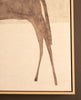 Saddleback Stillness Framed Wall Art