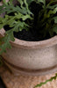 Dune Dweller Planters - Set of 2